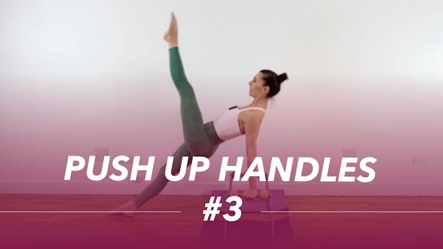 Push Up handles #3