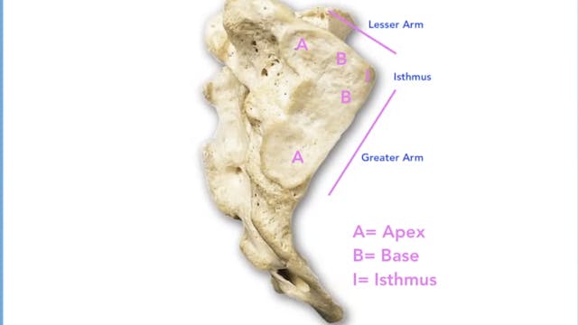 Monthly Call October