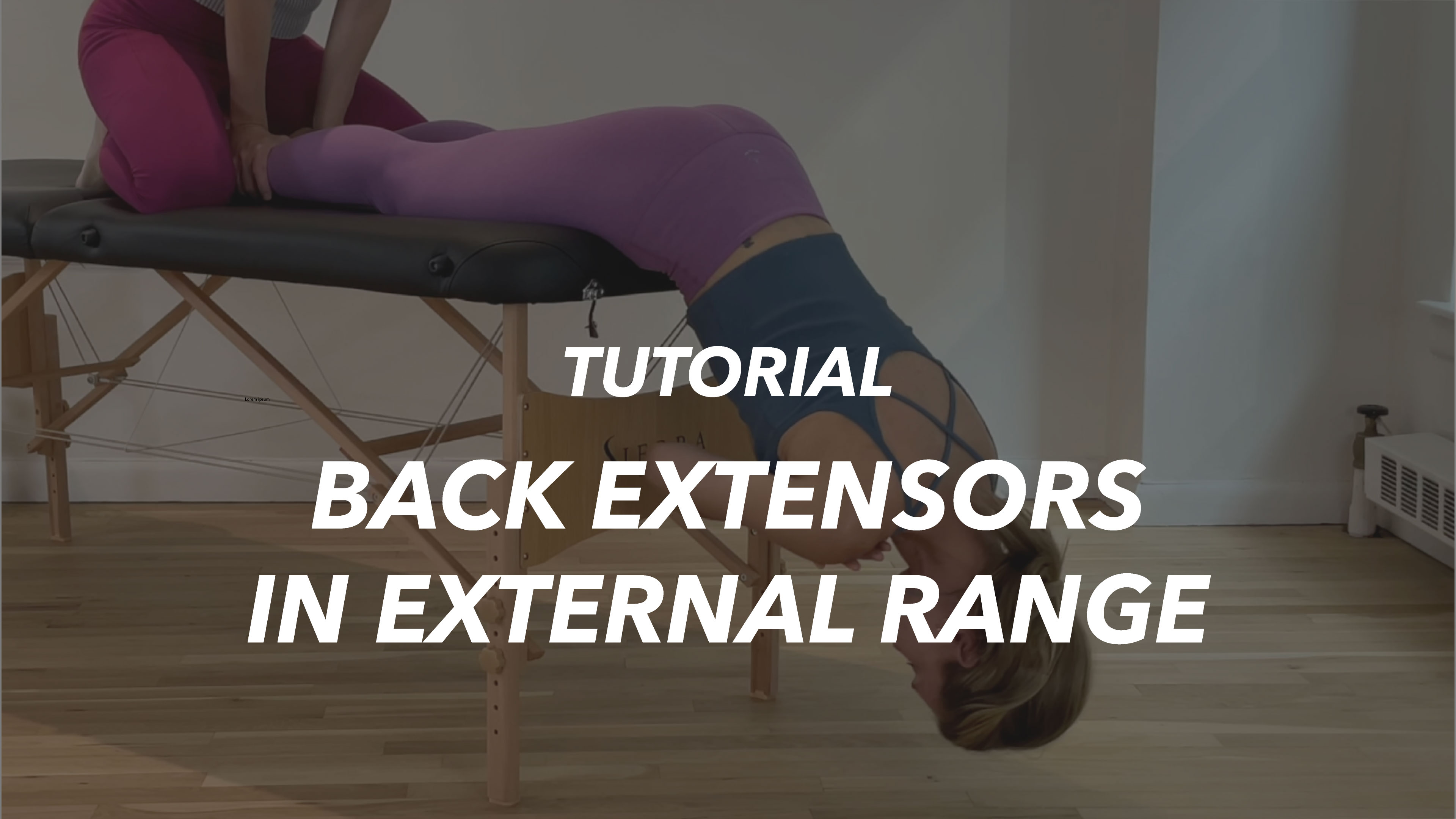 Back Extensors in External Range