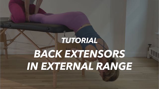 Back Extensors in External Range