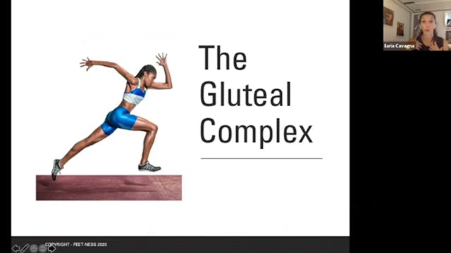 ZOOM Call - The Gluteal Complex