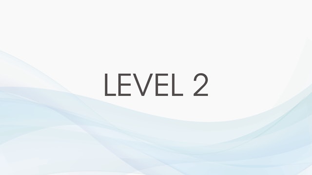 Level 2