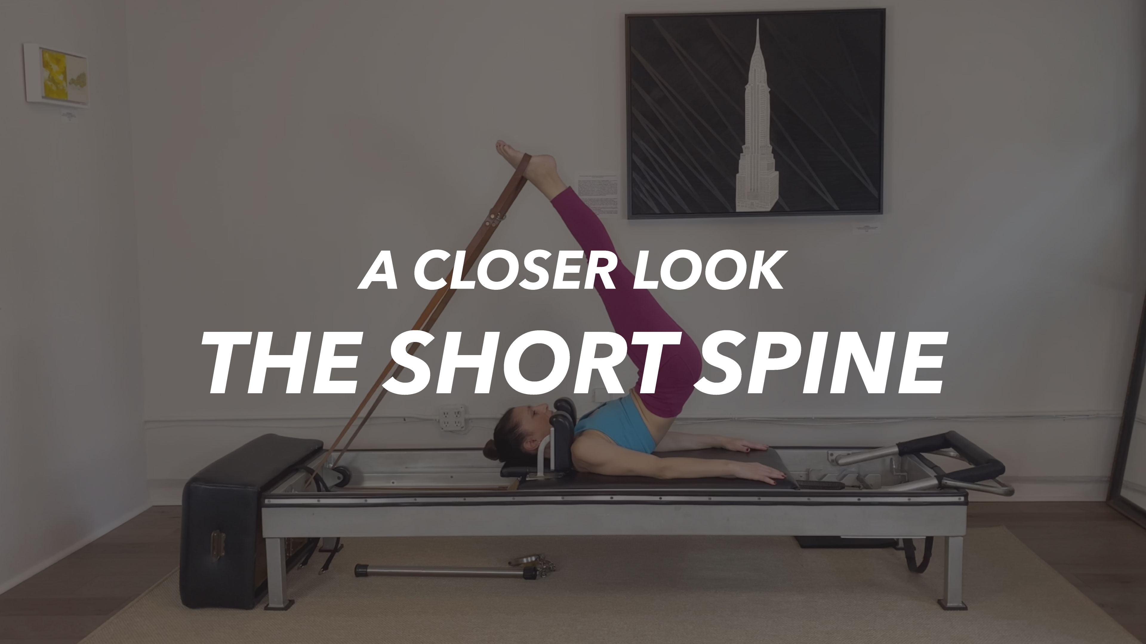 The Short Spine