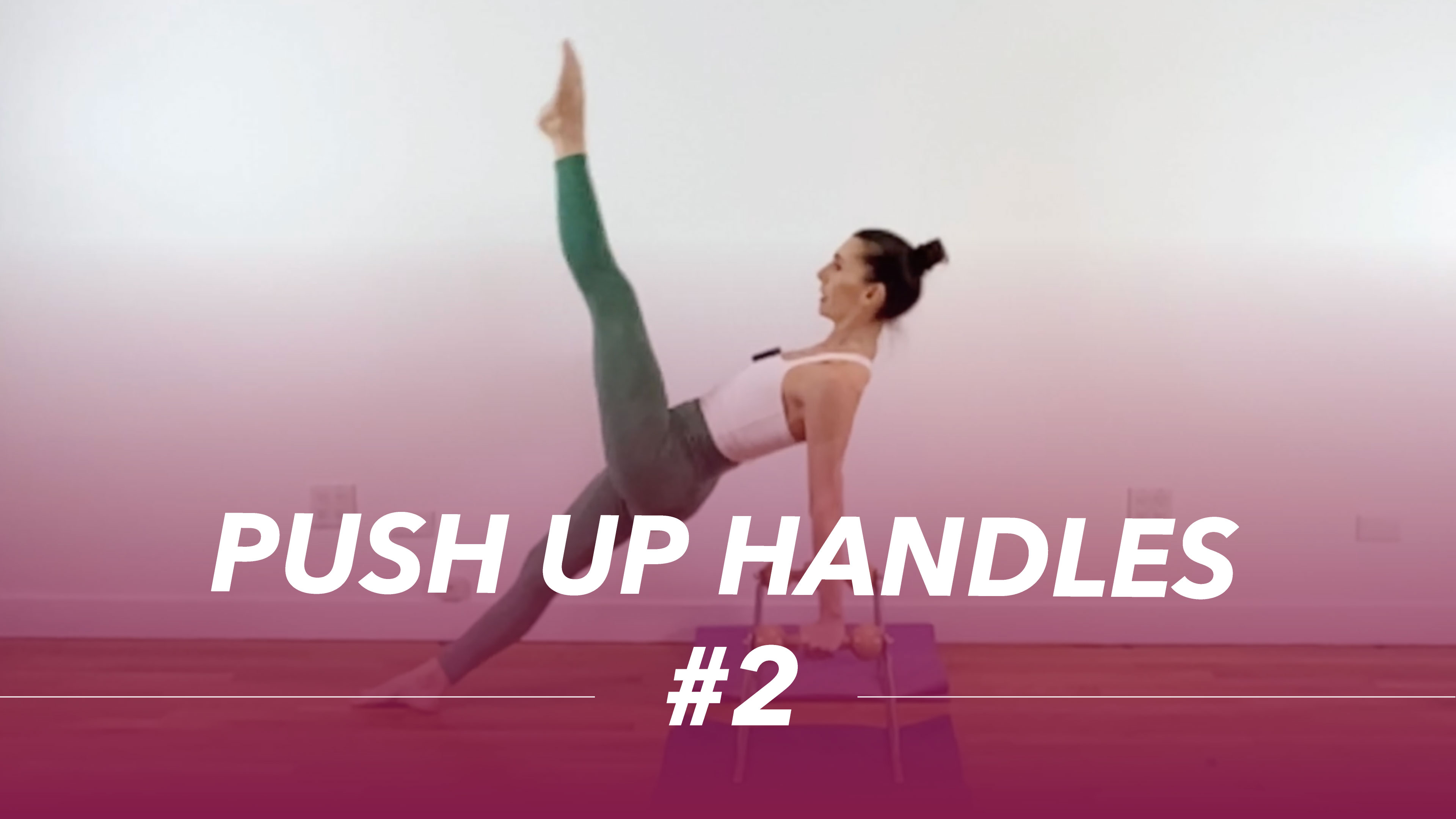 Push Up handles #2