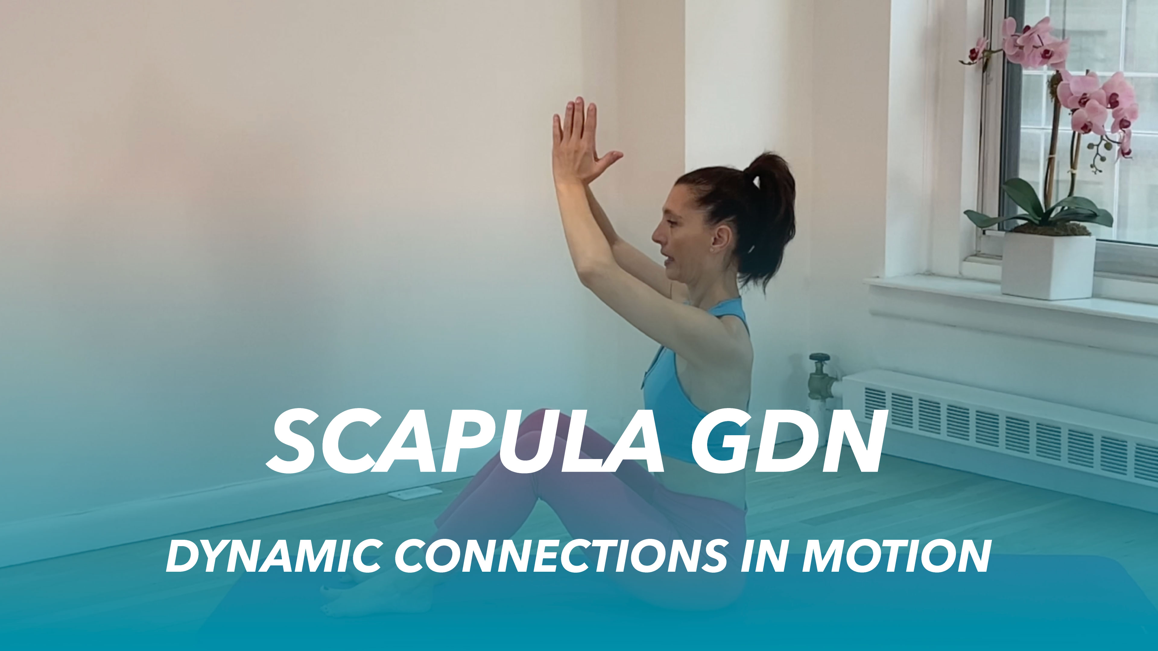 Scapula GDN