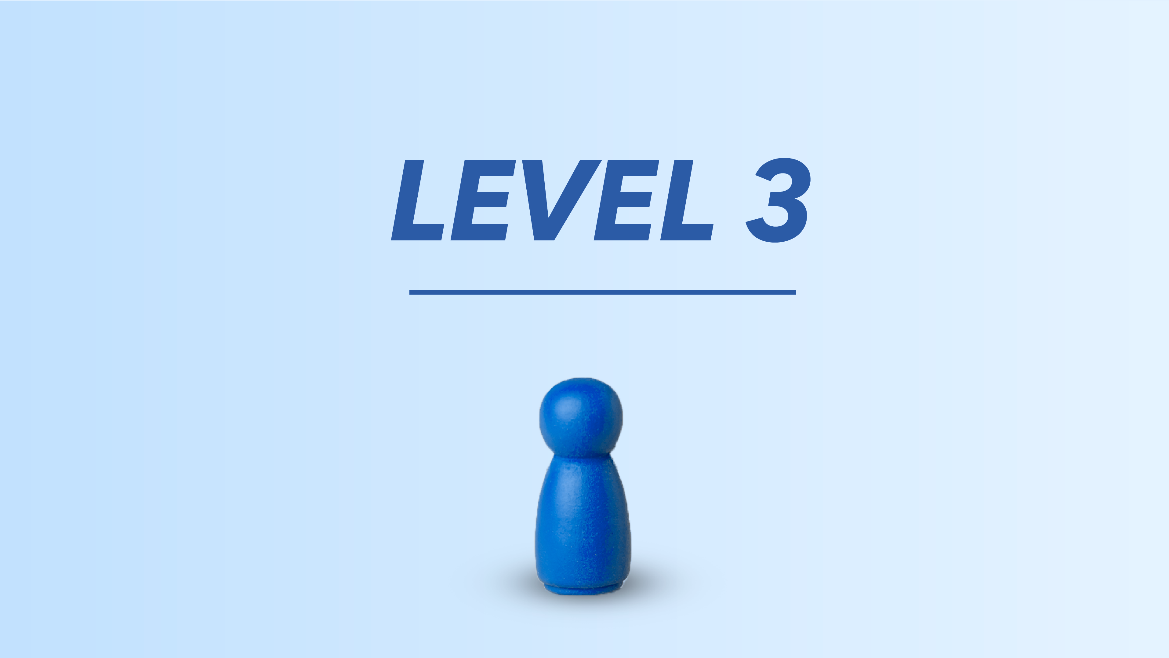 Level 3