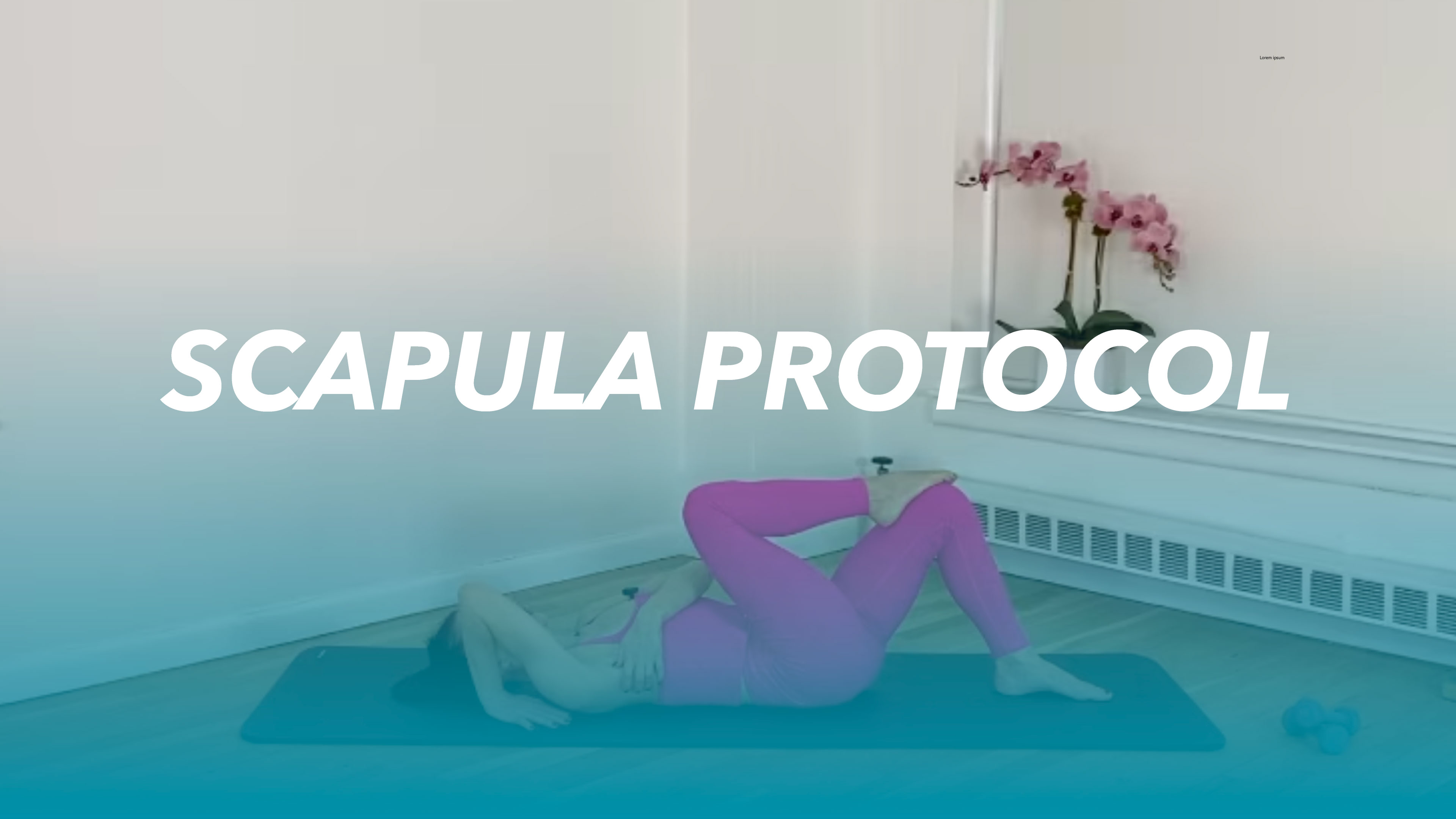 Scapula Protocol