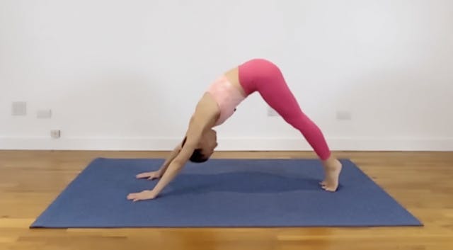 The Pilates Snake & ELDOA - 41 min