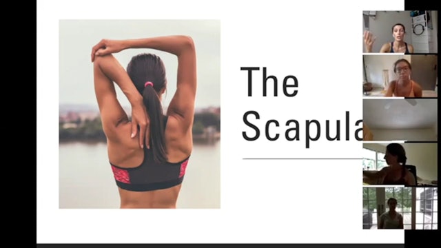 ZOOM Call - Scapula Mobility