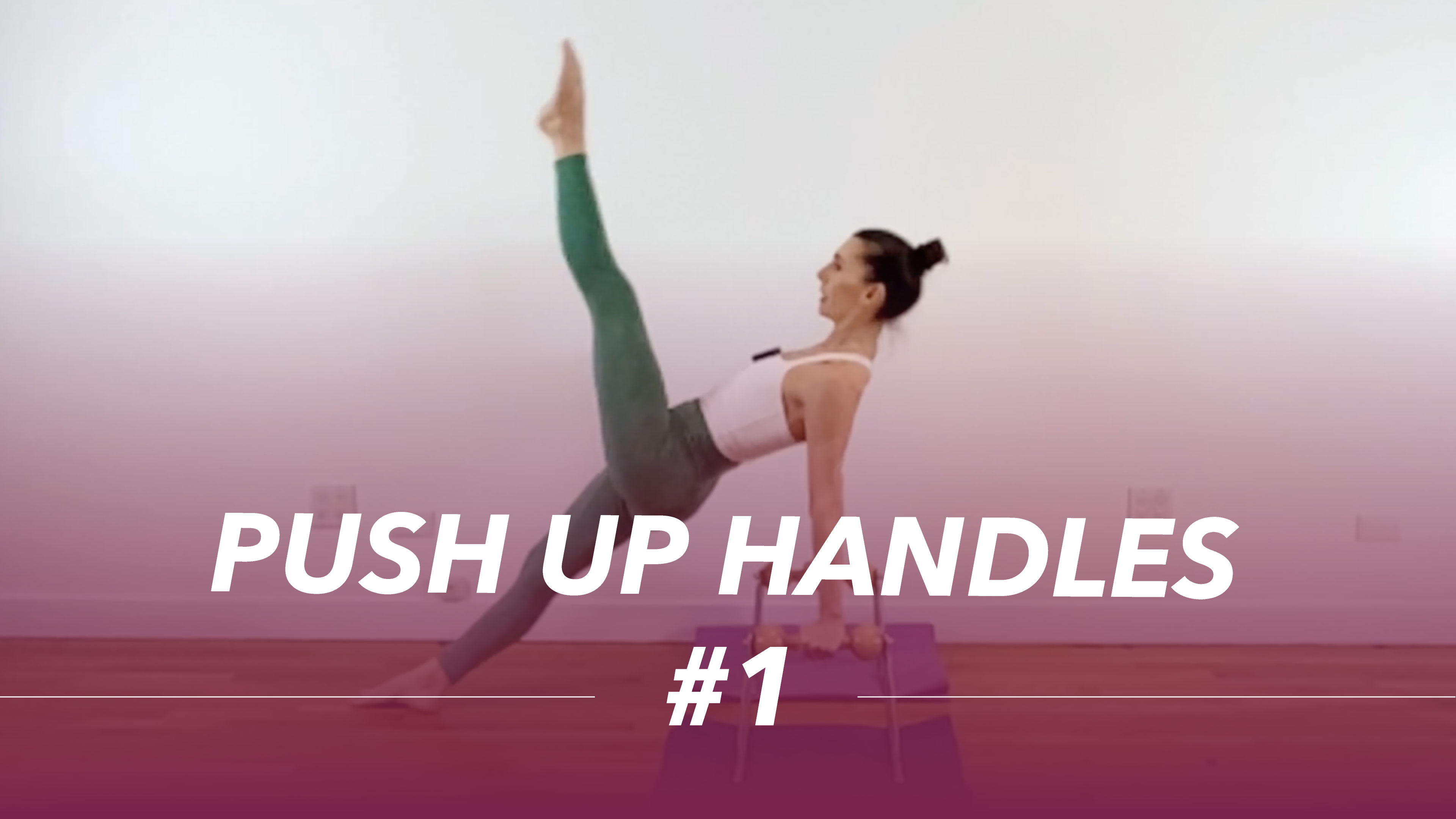 Push Up handles #1