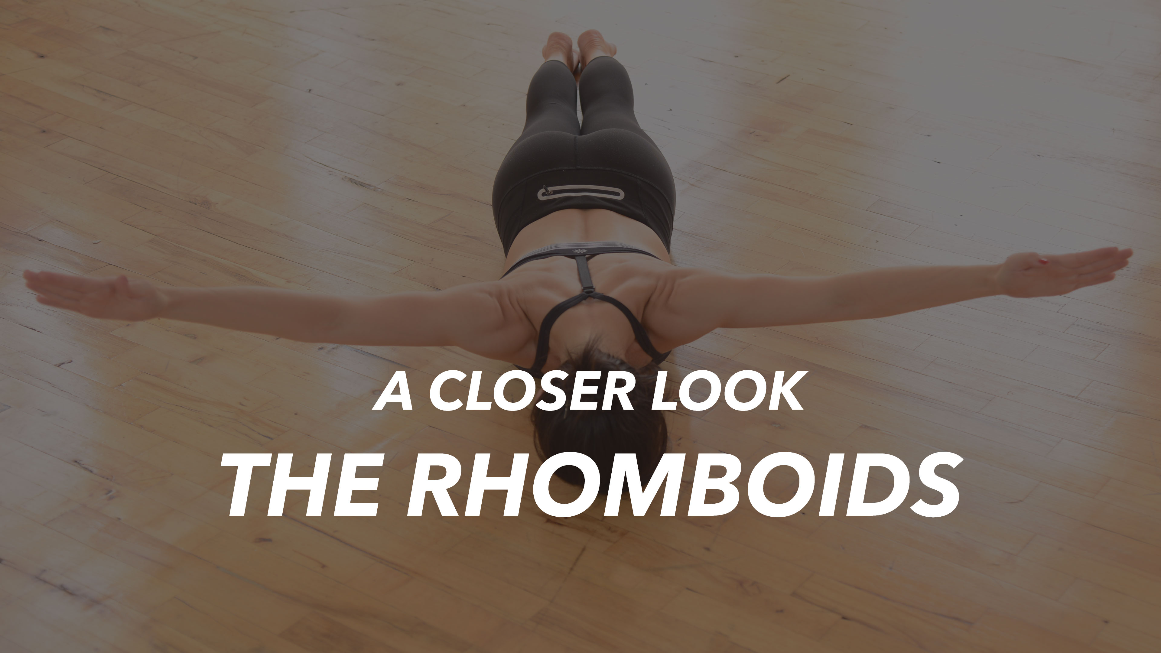 Rhomboids Reinforcement