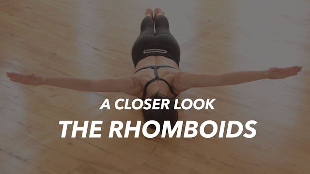 Strengthening the Rhomboids