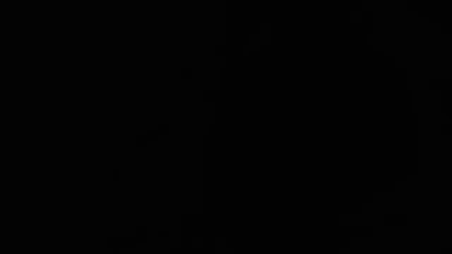 Senior Ladies Figure over 16 - The Ac...