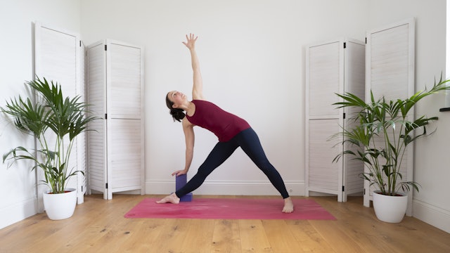 YOGA FOR BEGINNERS: BUILDING ON THE FUNDAMENTALS
