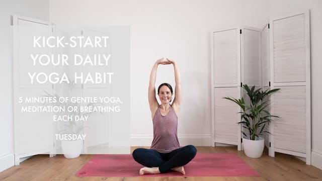 Tuesday's habit starter