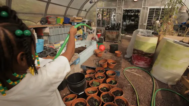 Inhabit - A Permaculture Perspective