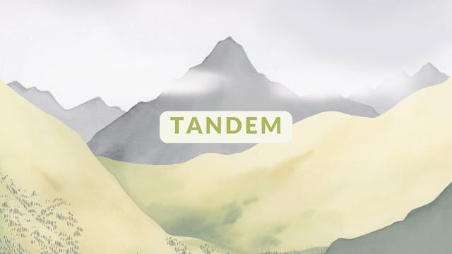 Tandem