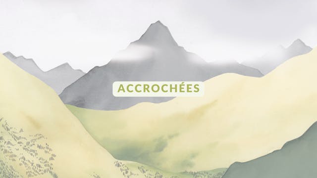 Accrochées