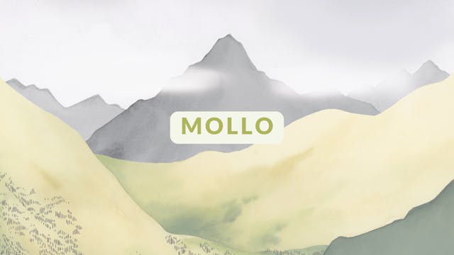 Mollo