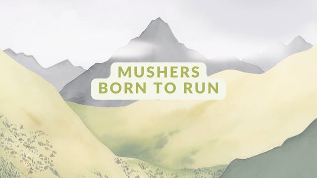 Mushers Born to Run