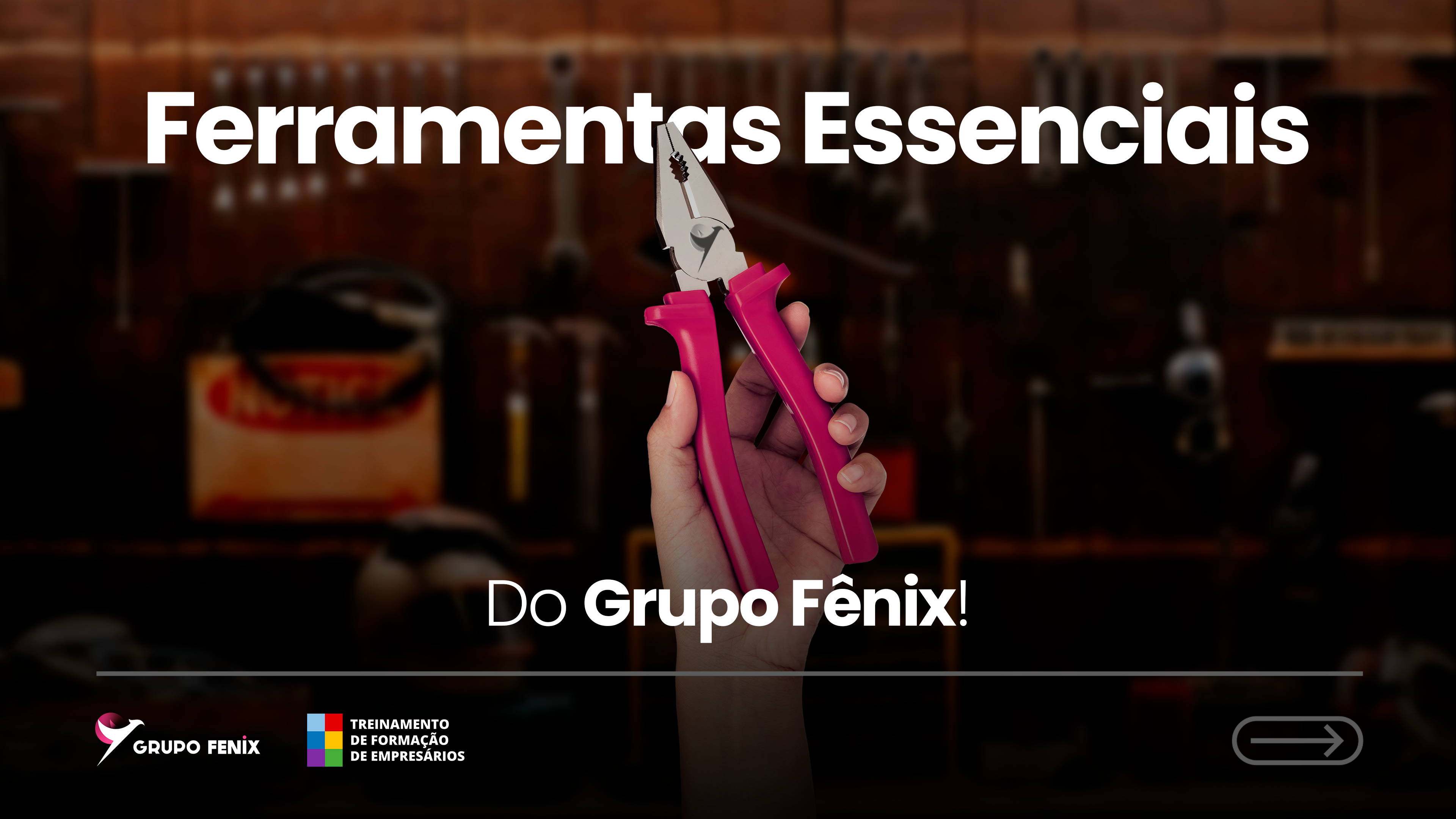 Ferramentas essenciais do Grupo Fênix