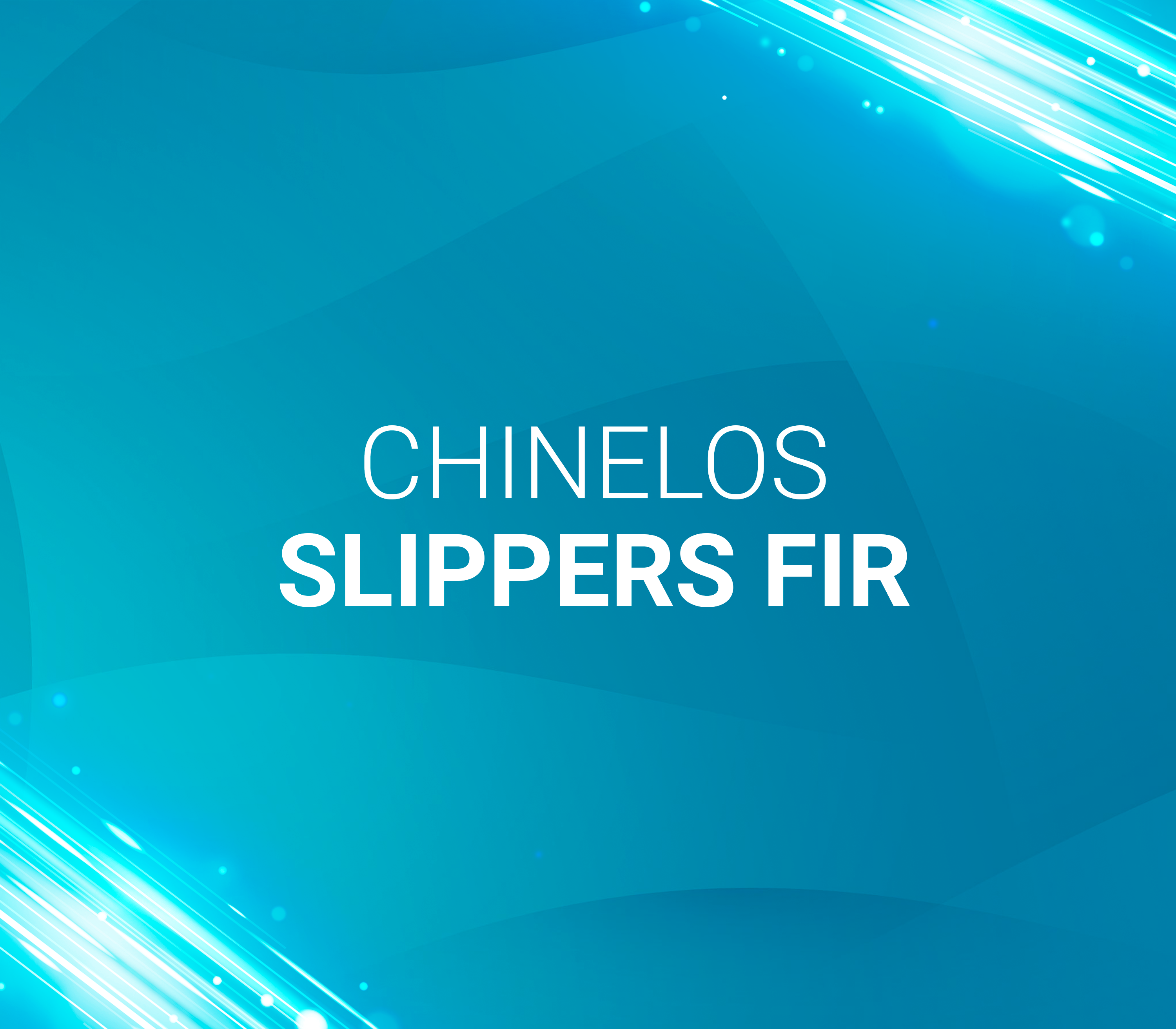 21. Chinelos Slippers FIR