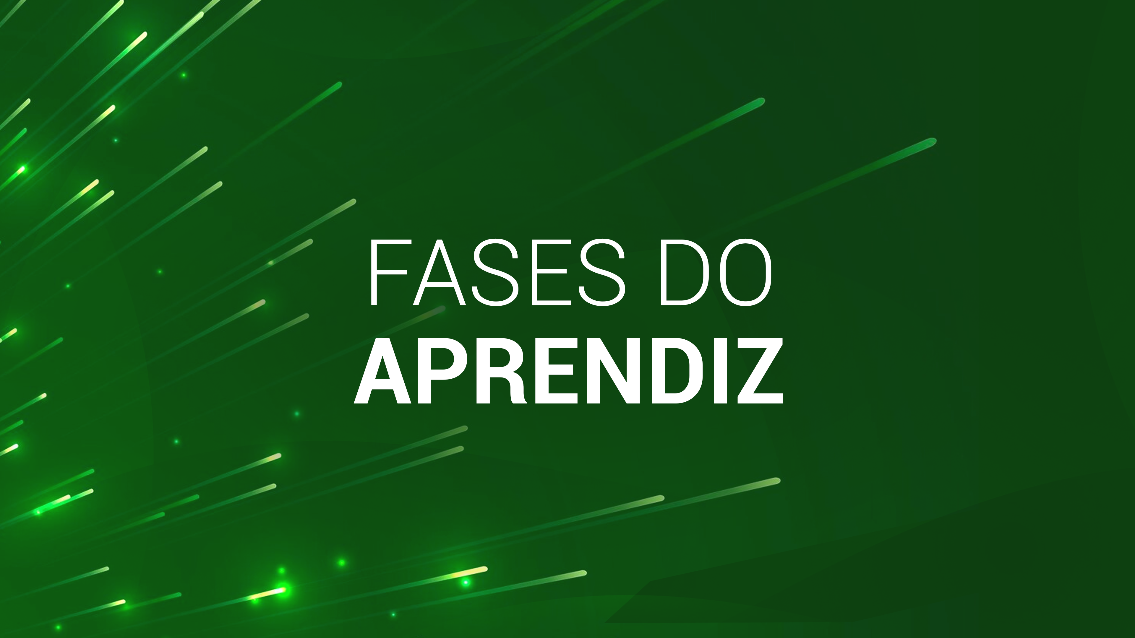 2. As fases do aprendiz