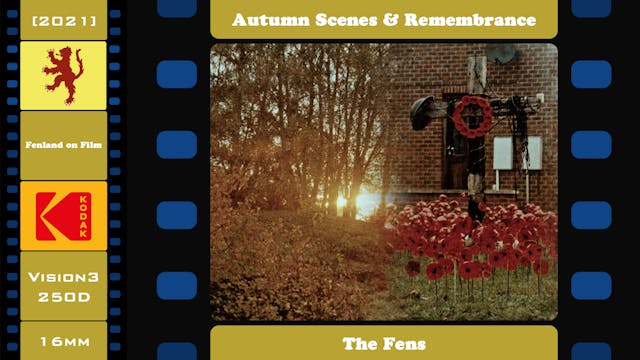 Autumn Scenes & Remembrance - The Fens (2021)