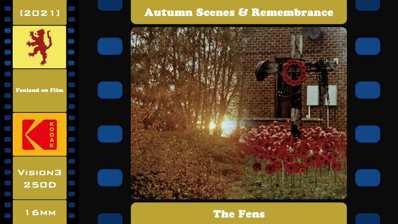 Autumn Scenes & Remembrance - The Fens (2021)