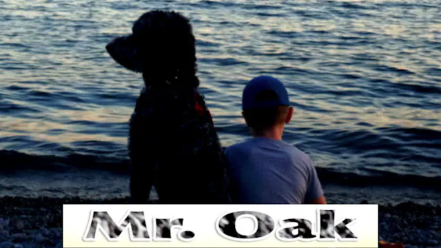 Mr. Oak