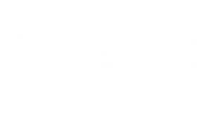 FestFlix.tv - the official streaming platform for Atlanta Film Series