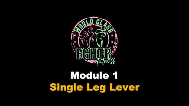 Single Leg Lever