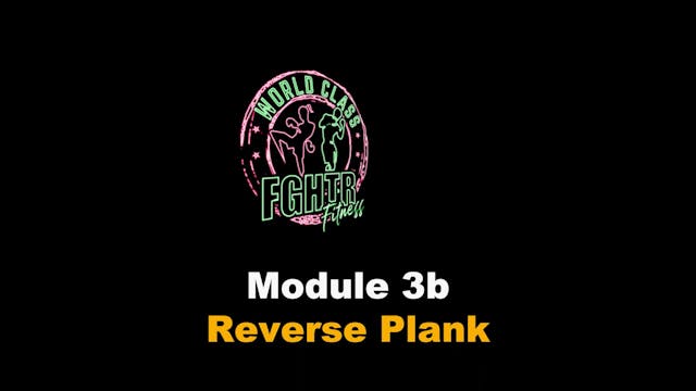 Reverse Plank