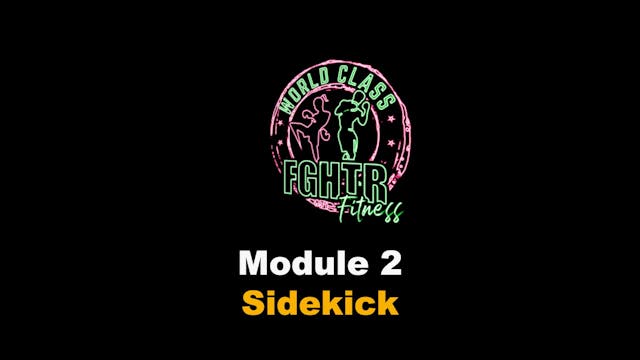 Sidekick