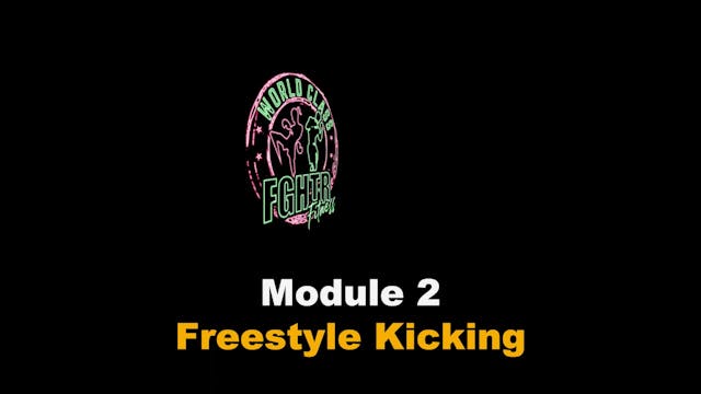 Freestyle Kicking