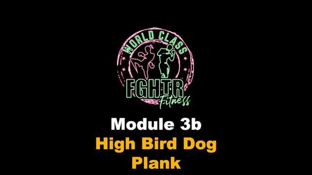 High Bird Dog Plank