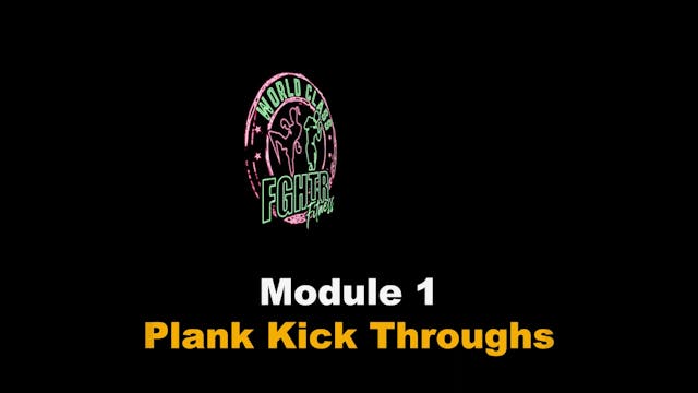 Plank Kick Throughs