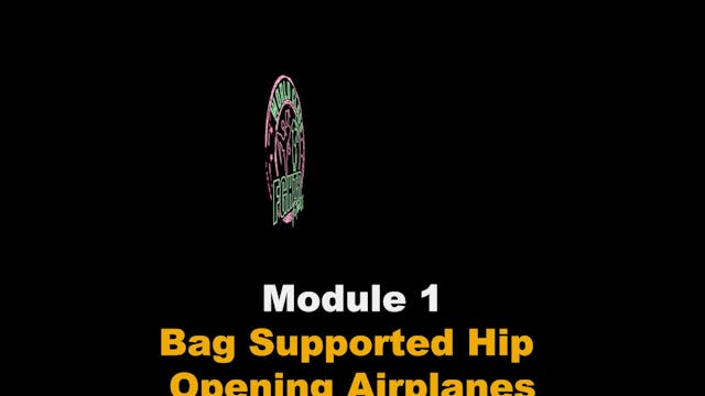 Bag Supported Hip Opening Airplanes