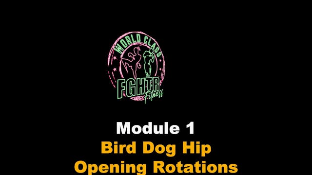 Bird Dog Hip Opening Rotations