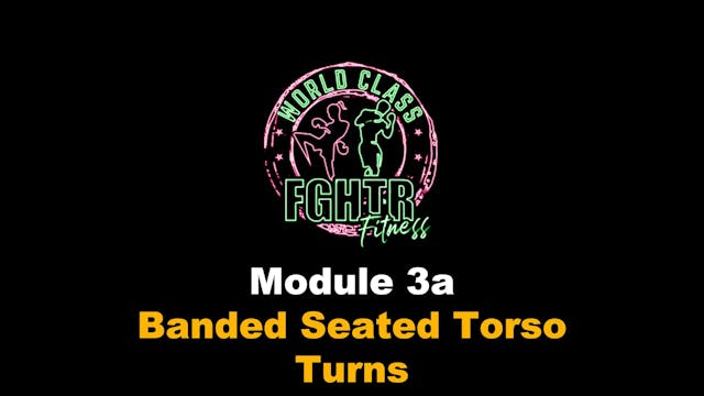 Banded Seated Torso Turns