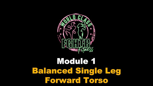 Balanced Single Leg Forward Torso