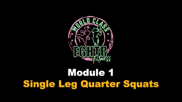 Single Leg Quarter Squats