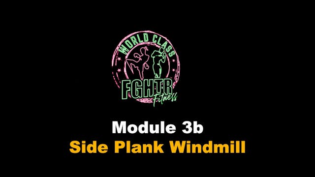 Side Plank Windmill