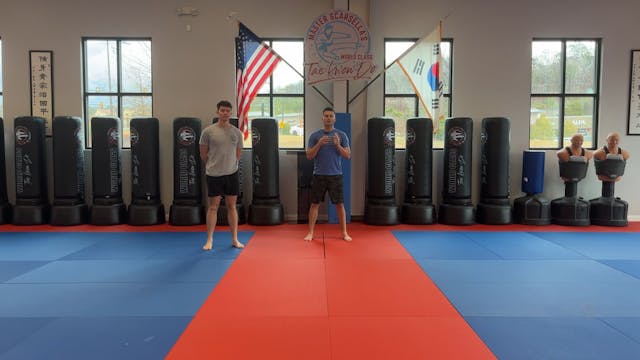 Low Plank On One Foot