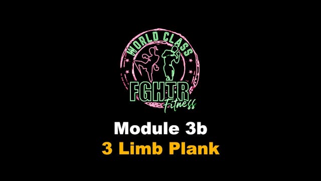 3 Limb Plank