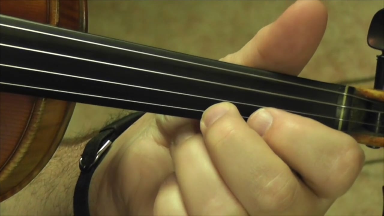 5 Weeks of Good Beer