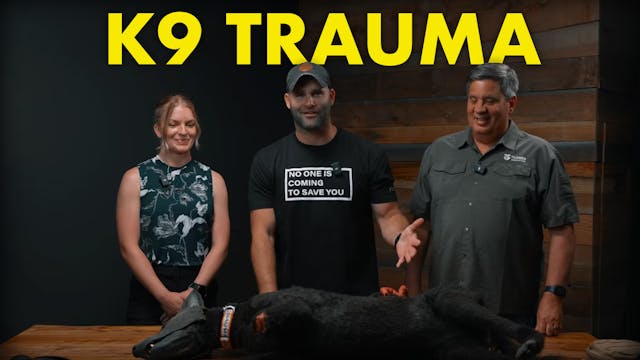 K9 Trauma