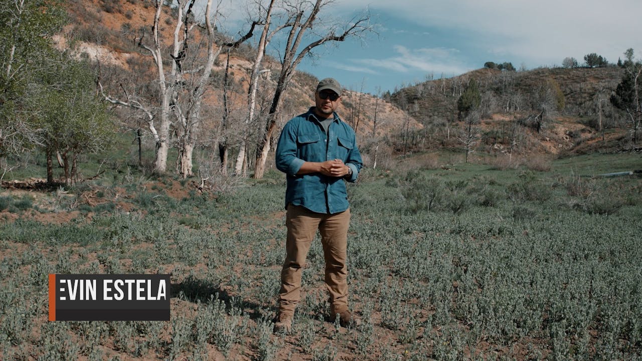 06 Water Water from Plants Season 03 Water Fieldcraft Survival