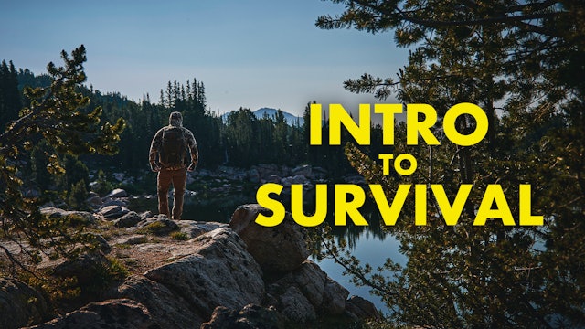 Introduction to Survival