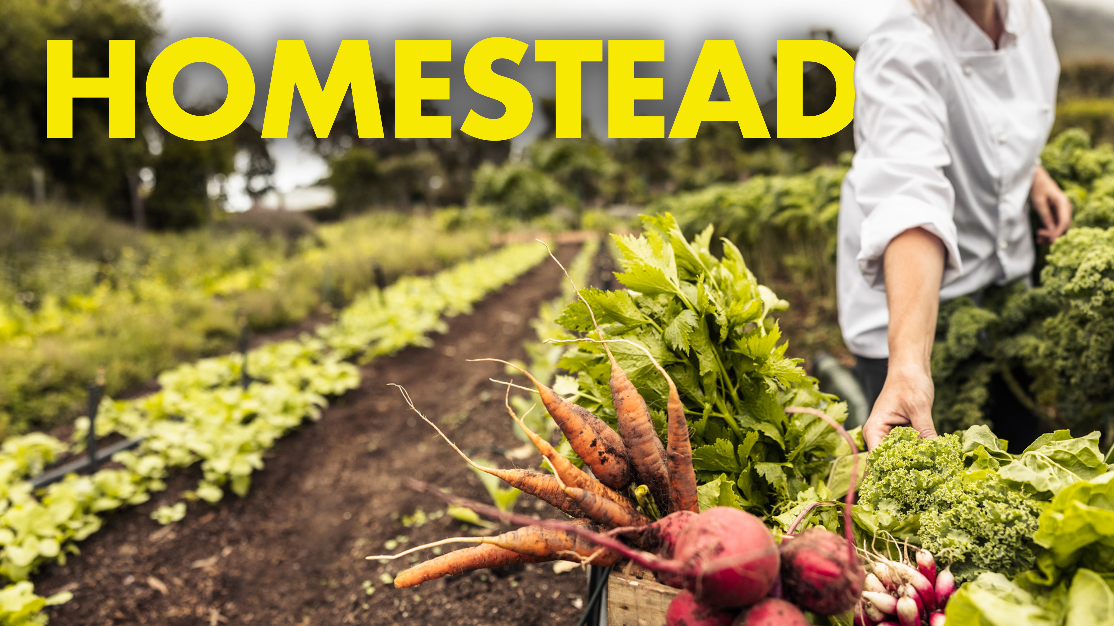 Homestead Fieldcraft Survival